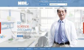 MBL International website design, concept 2.