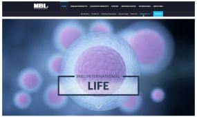 MBL International website design, concept 3a.