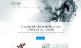 Cara Therapeutics web design, concept 1.