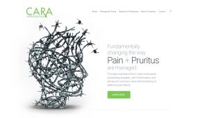 Cara Therapeutics web design, concept 2.