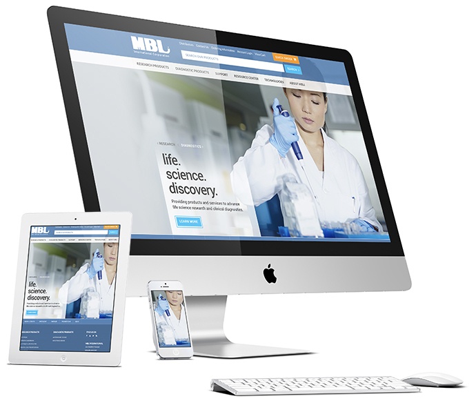 Desktop and mobile designs for MBL International.