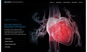 Svelte Medical Systems website design, concept 1a.