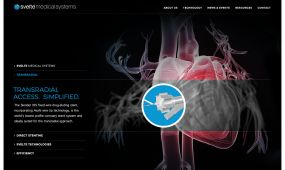 Svelte Medical Systems website design, concept 1b.