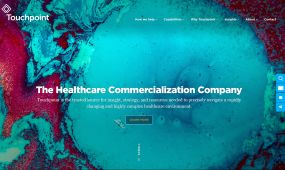Touchpoint Solutions pharmaceutical commercialization web design concept 1b.