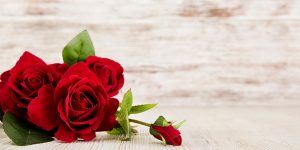 Red Roses On a Wood Table