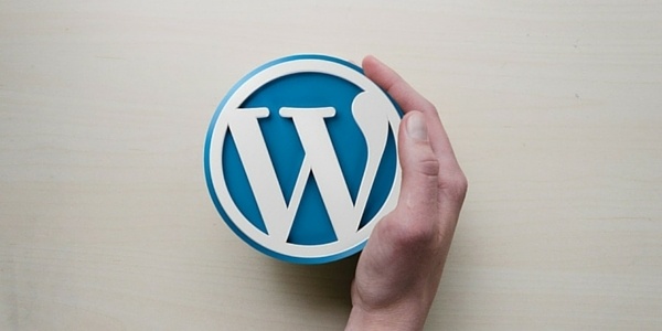 Hand Holding the Wordpress Logo