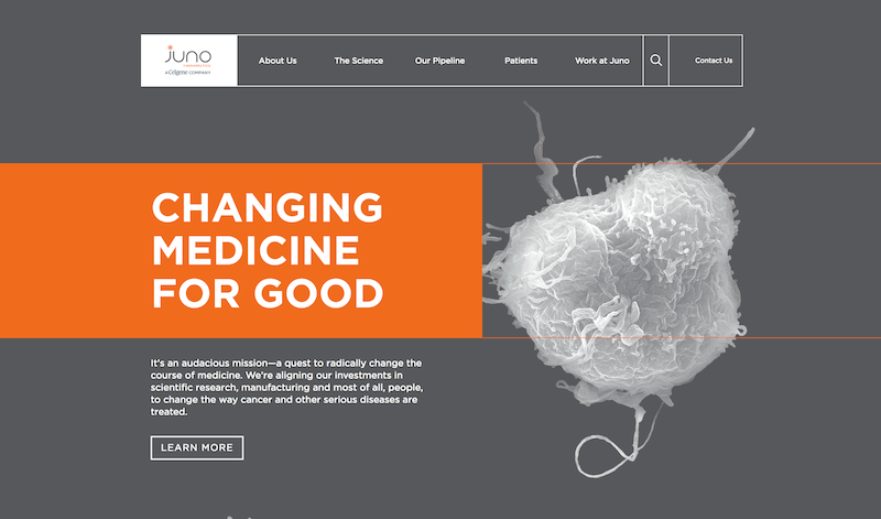 Healthcare Branding Example #3: Juno Therapeutics Website Screenshot